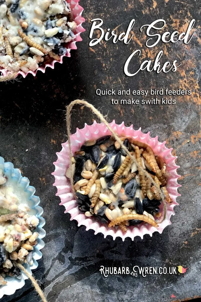 Easy Bird Seed Cake Rhubarb And Wren