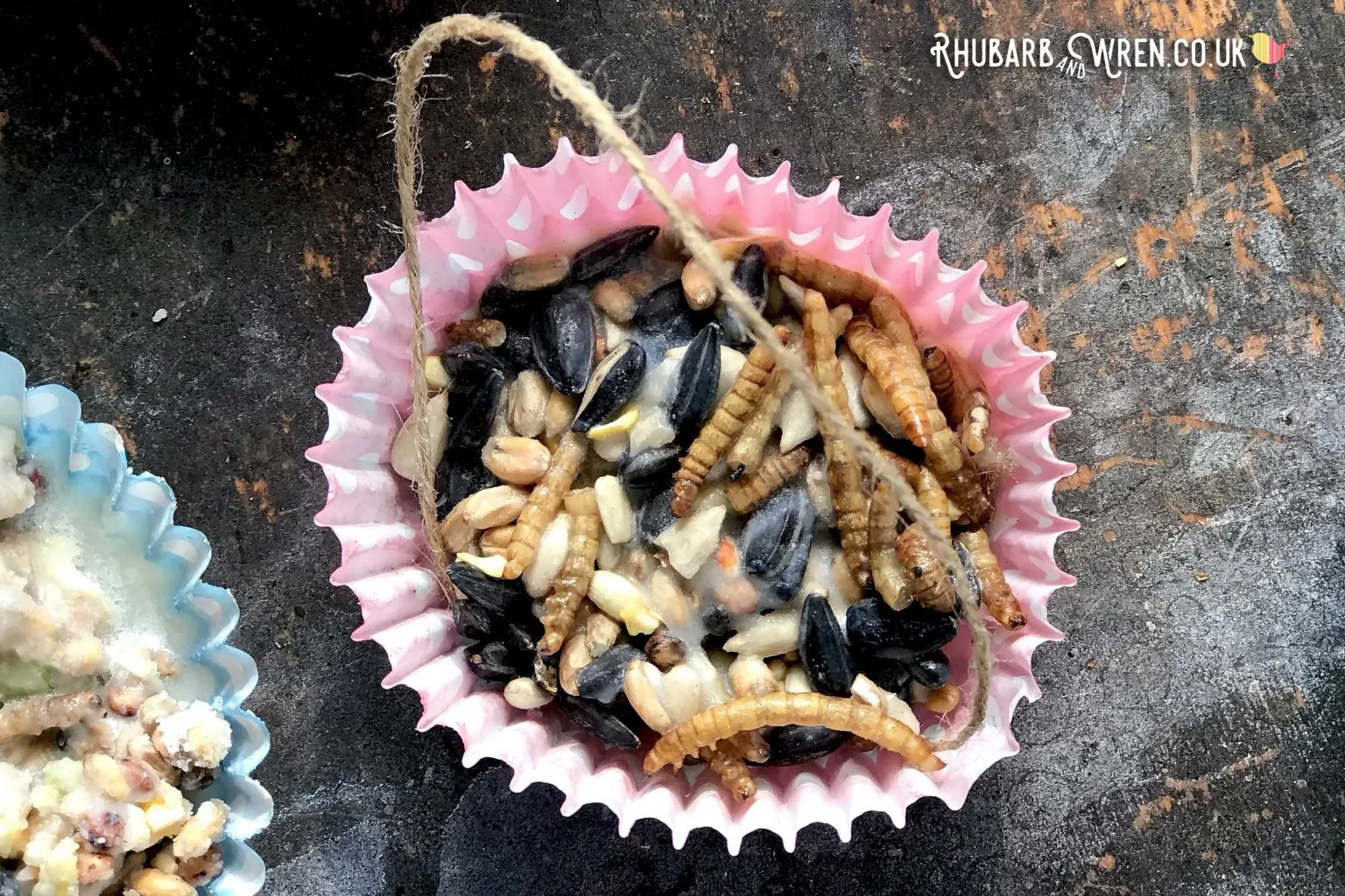 Seed Cake Recipe for the Birds